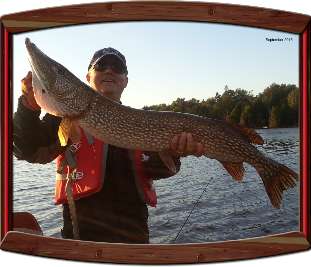 Northern Pike