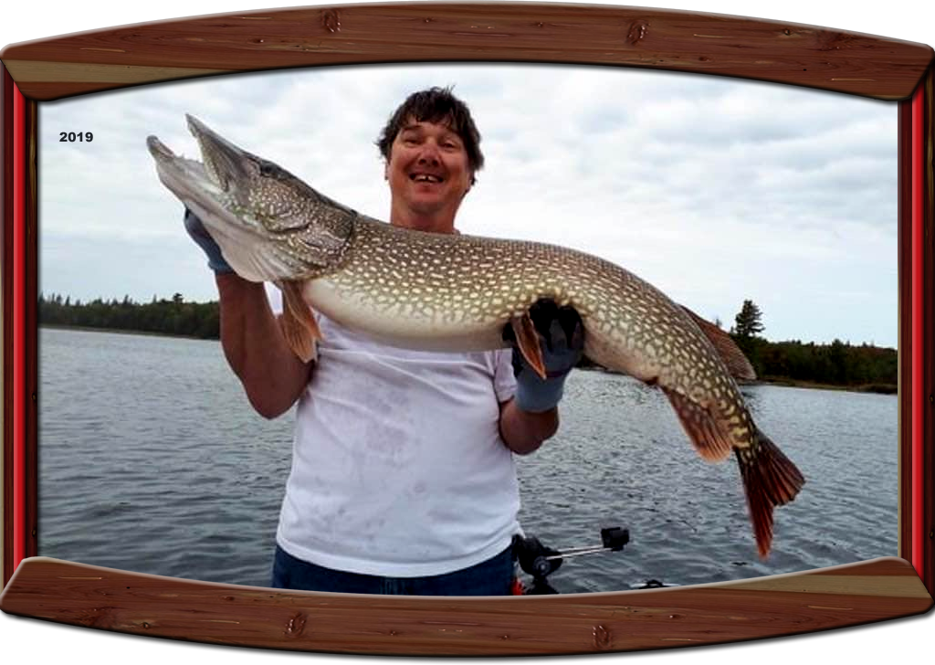 Northern Pike