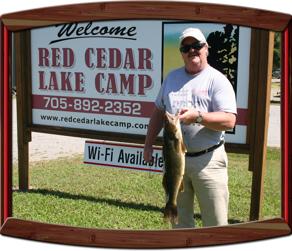 Walleye