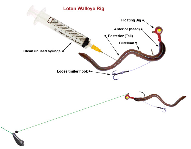 Walleye Fishing Tips